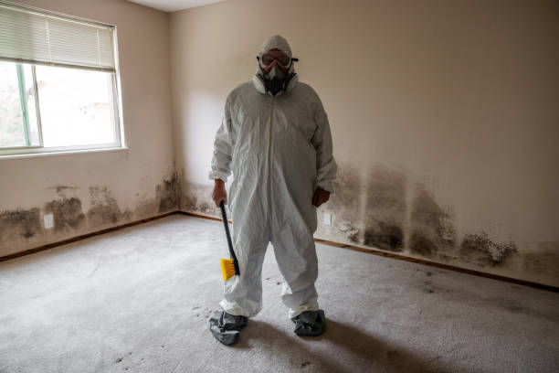 Best White Mold Remediation in Worthington Hills, KY